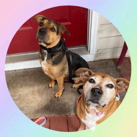 Lady and Gus